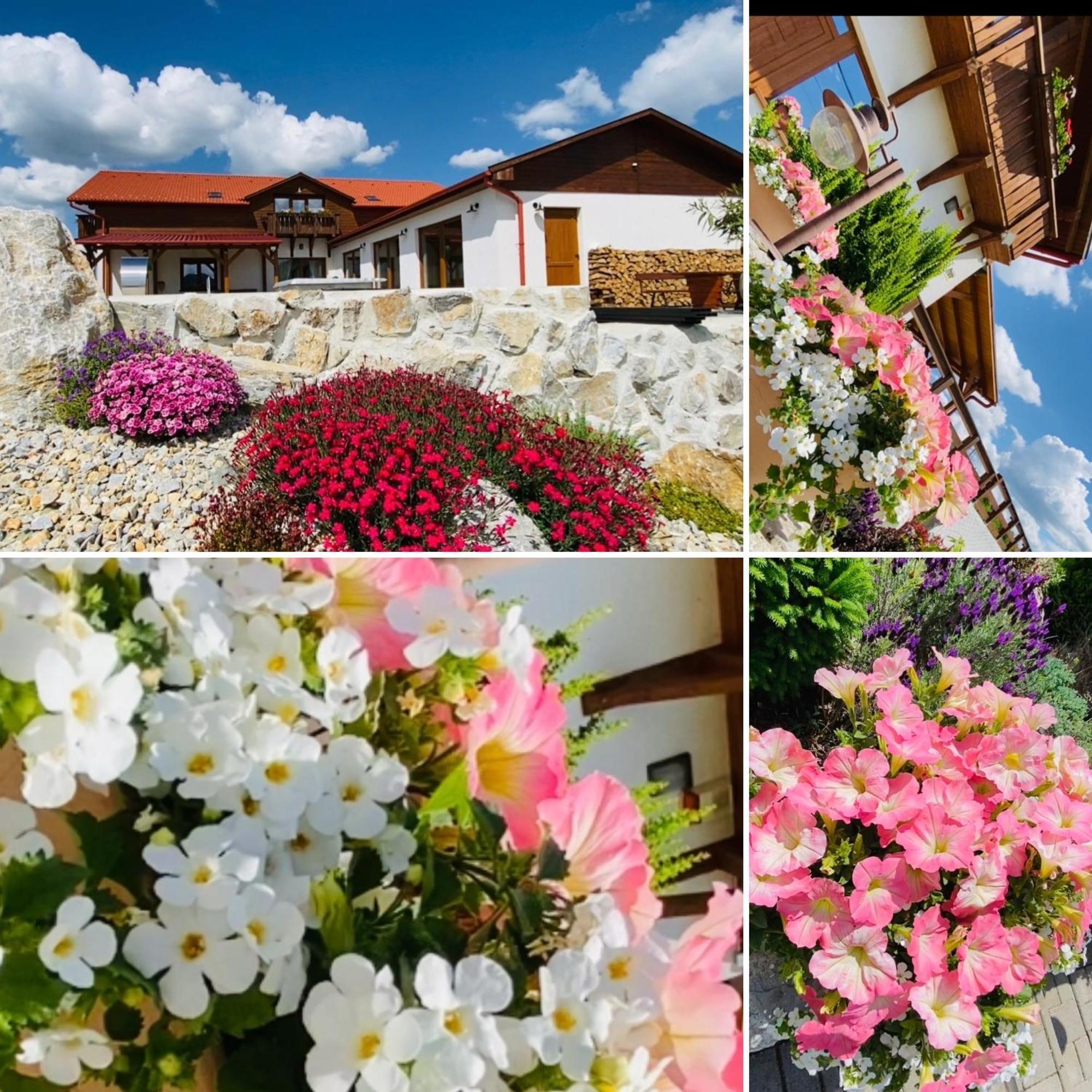 Gold Horse Vendeghaz Hotell Szilvásvárad Exteriör bild