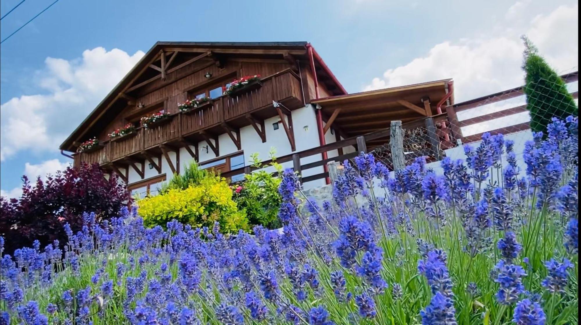 Gold Horse Vendeghaz Hotell Szilvásvárad Exteriör bild