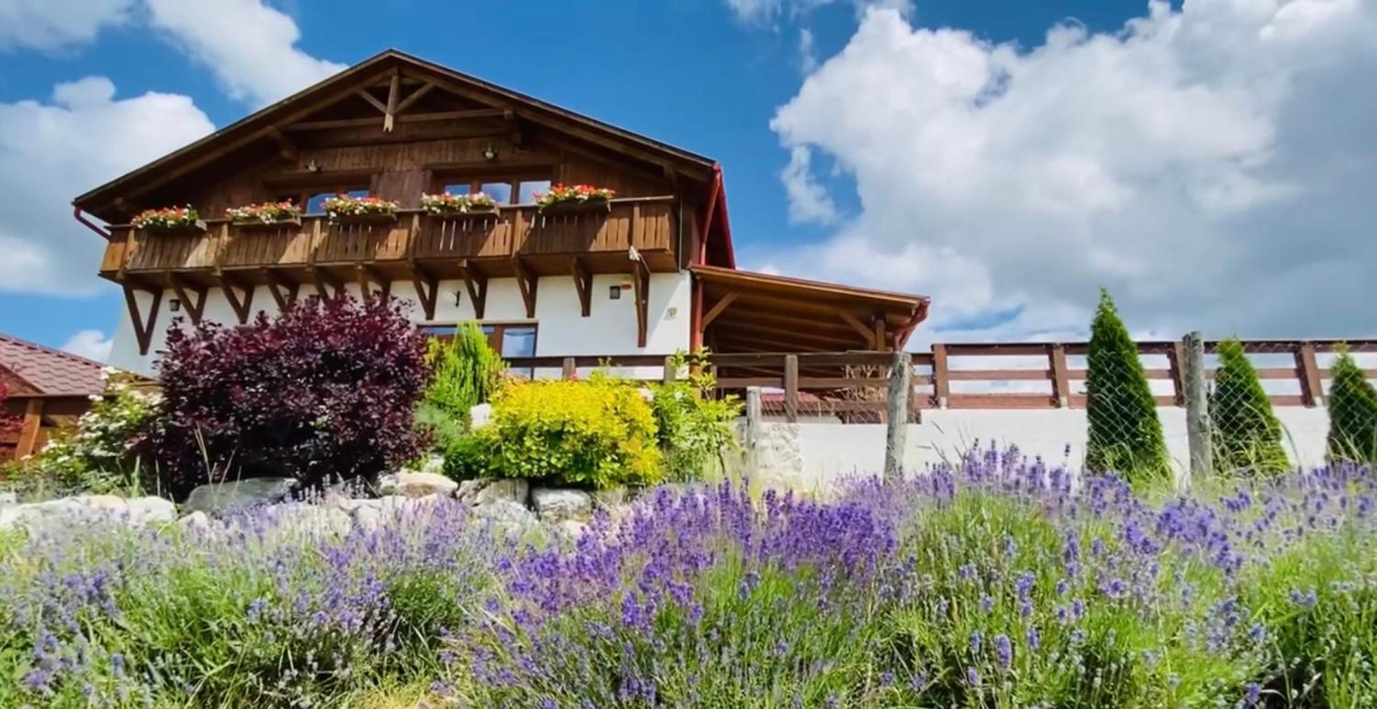 Gold Horse Vendeghaz Hotell Szilvásvárad Exteriör bild
